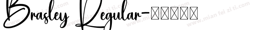 Brasley Regular字体转换